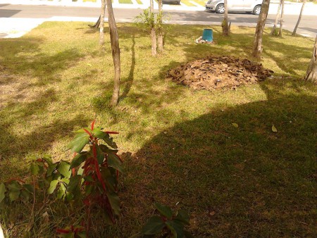 limpieza de areas comunes