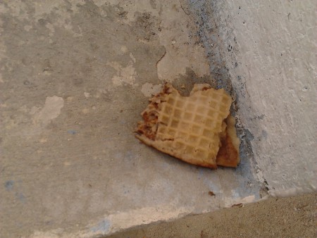 LIMPIEZA DE ALBERCA DESPUES DE EVENTO