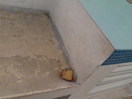 LIMPIEZA DE AREA DE ALBERCA