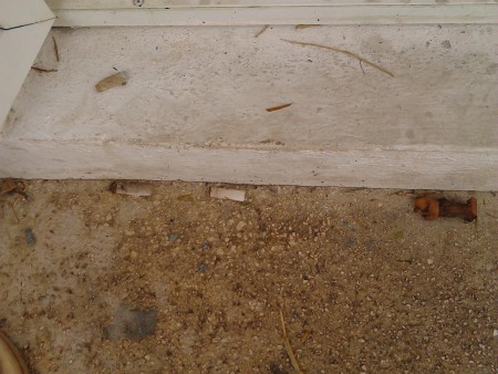 RESIDUOS EN EL AREA DE ALBERCA