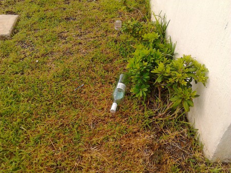 LIMPIEZA EN AREAS VERDES