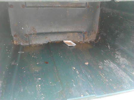 contenedor 2 con gusanos antes de limpieza