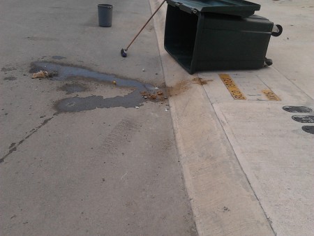 residuos en acceso 1