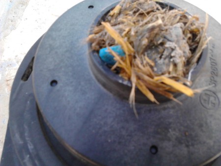 turbina de bomba obstruida