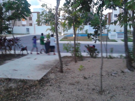 torneo de limpieza (palapa)