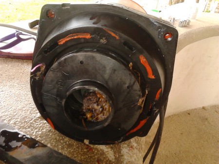 MANTENIMIENTO PREVENTIVO DE BOMBA DE FILTRACION