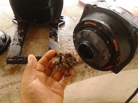 MANTENIMIENTO PREVENTIVO DE BOMBA DE FILTRACION