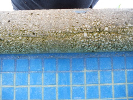 limpieza en bordes, alberca