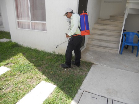 fumigacion en perimetrales de areas comunes