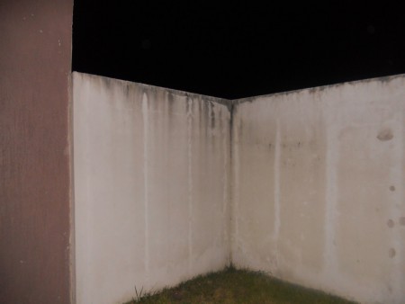 pintado de barda perimetral