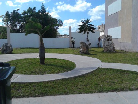 fumigacion de areas verdes