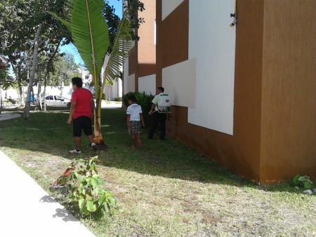 fumigacion de areas comunes