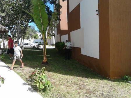 fumigacion de areas comunes