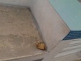 /album/julio/img-20140706-090352-jpg/