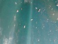 /album/julio/img-20140712-085820-jpg/